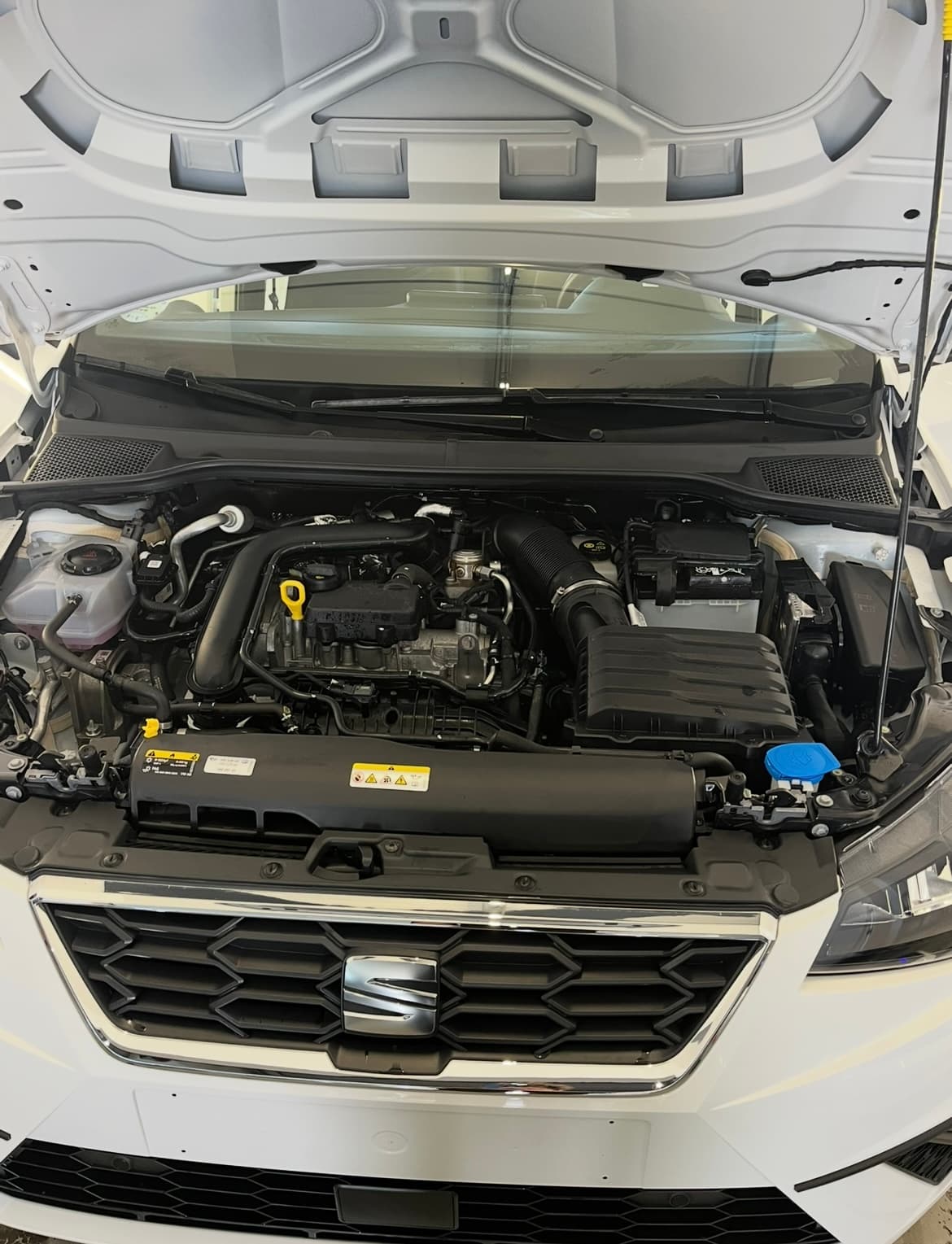 motorraumreinigung-seat