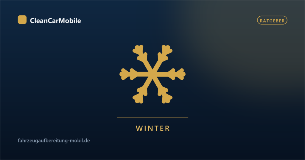 Autopflege im Winter