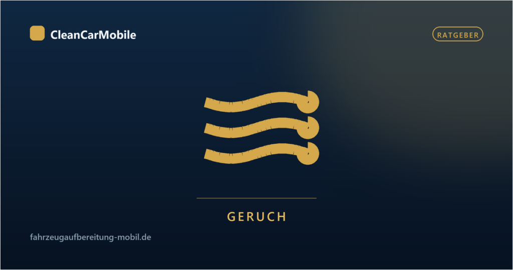 Gerüche im Auto entfernen
